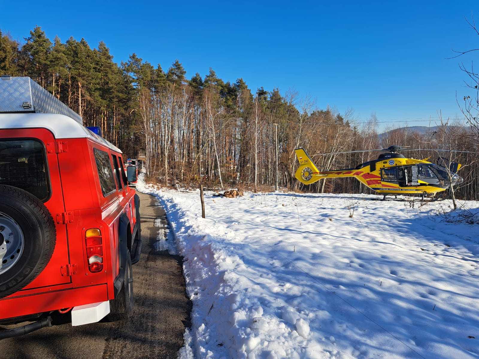 CZCHÓW. Tragedia w lesie. Nie żyje 52-letni mężczyzna