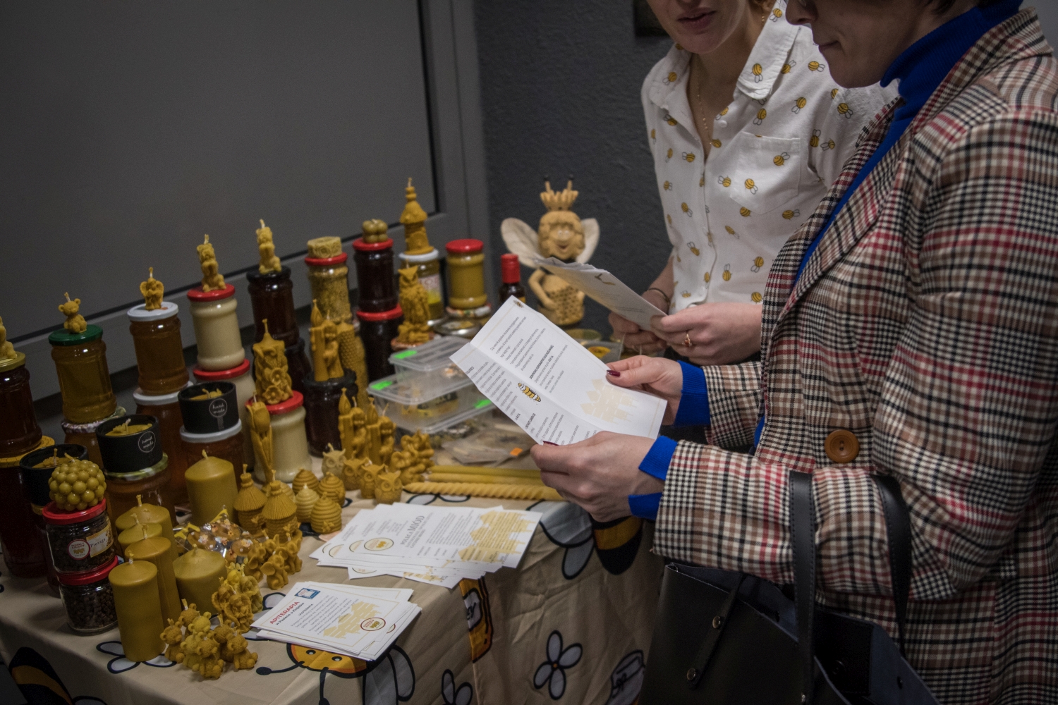 POWIAT BOCHEŃSKI. Pszczoły a klimat – relacja z Festiwalu Filmów Ekologicznych [ZDJĘCIA]