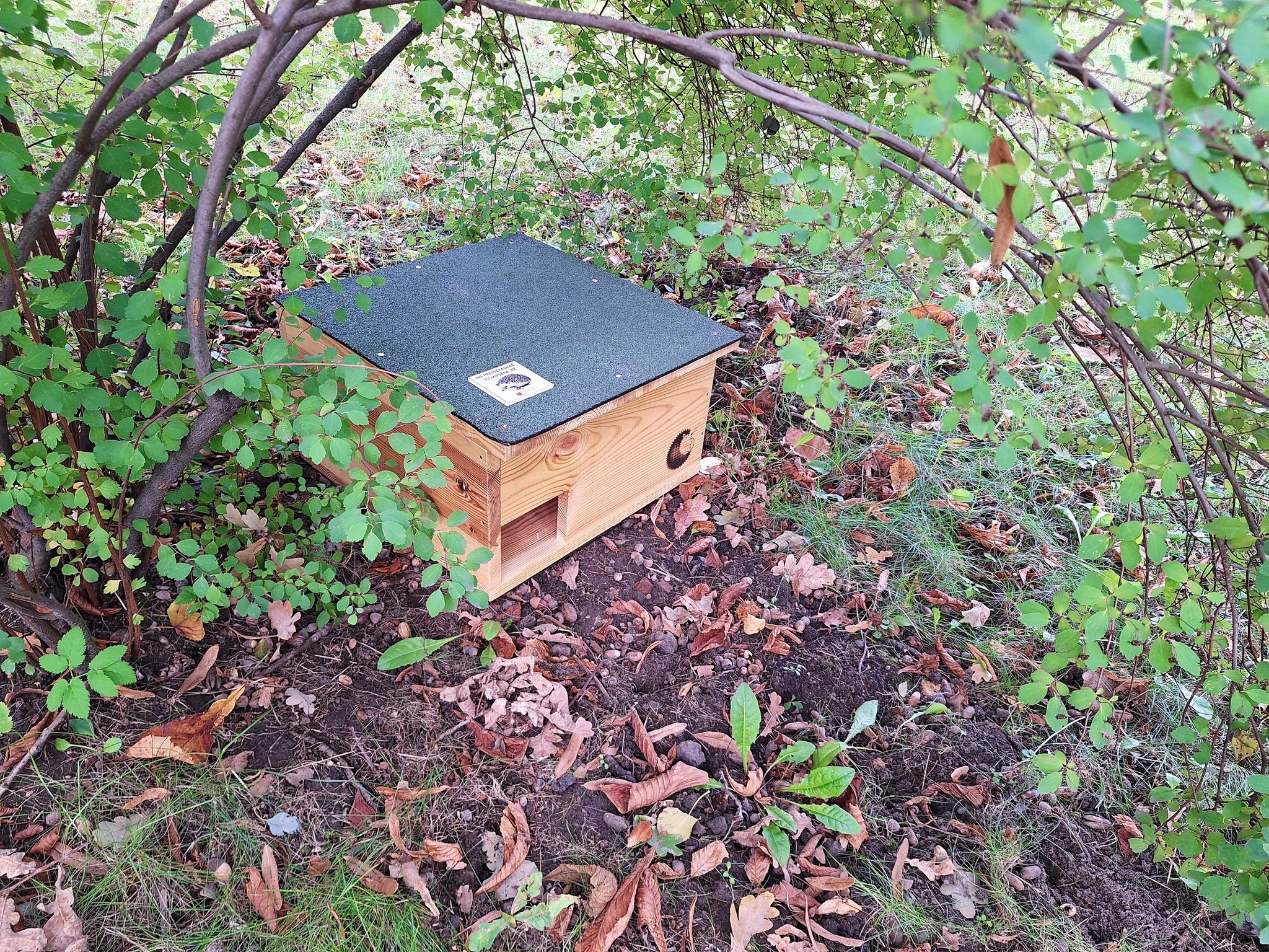 BOCHNIA. Na Plantach Salinarnych i Placu Turka pojawiły się domki dla jeży