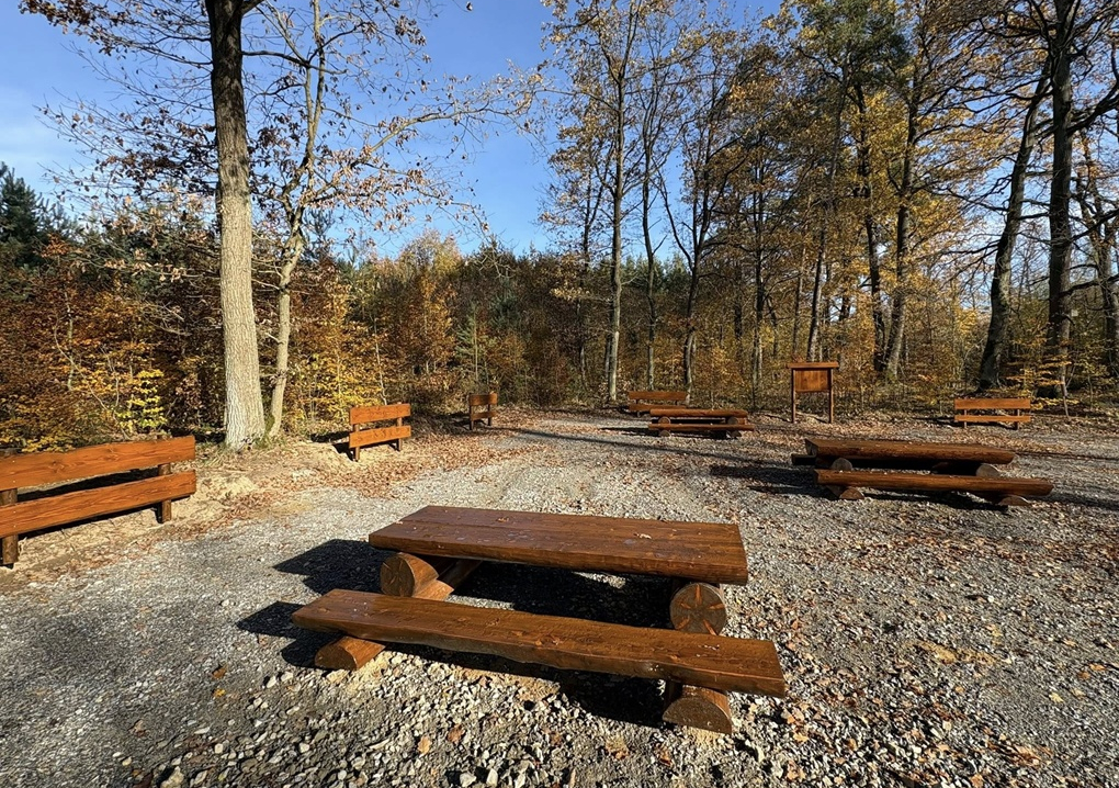 GMINA BRZESKO. Miejsce odpoczynku w Lesie Szczepanowskim