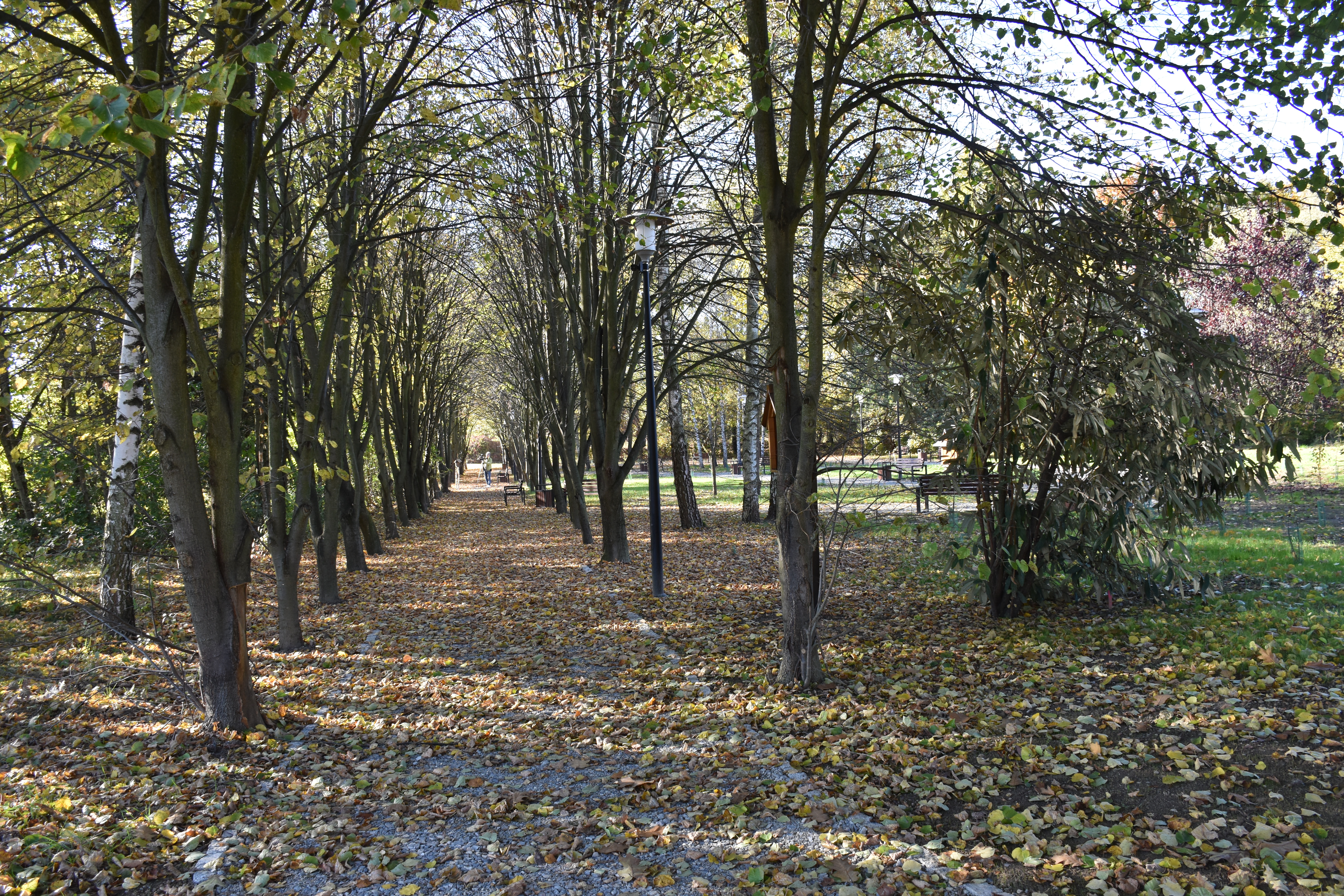 GMINA DRWINIA. Zakończyły się prace w odnowionym Parku św. Franciszka w Świniarach