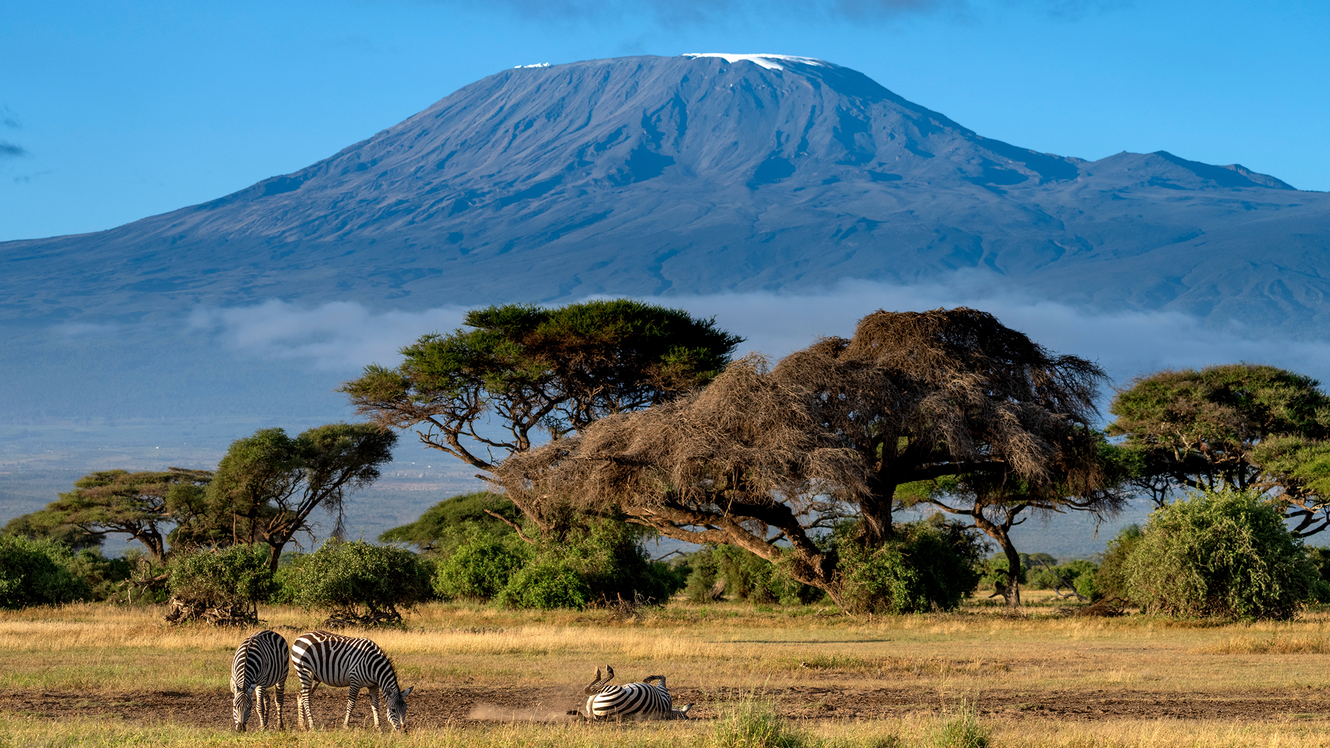 Kenia – parki narodowe, safari i dzika natura Afryki Wschodniej