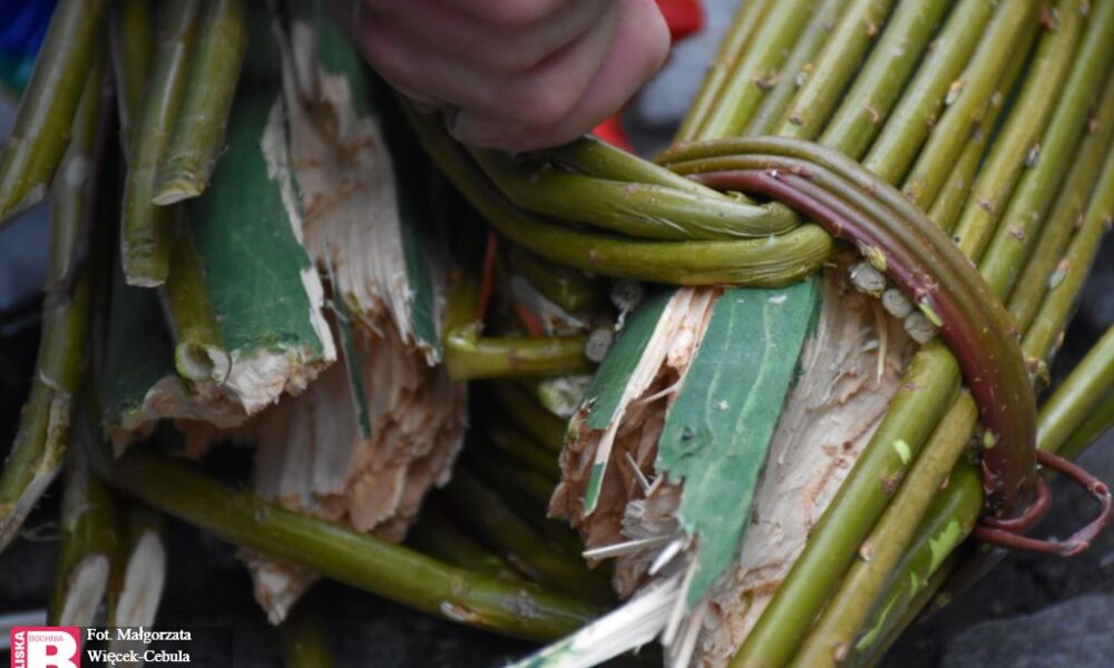 LIPNICA MUROWANA. Pogoda nie sprzyjała w tym roku twórcom palm. Jedna z najwyższych złamała się na pół [ZDJĘCIA, WIDEO]