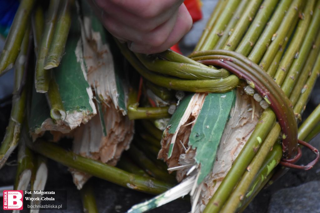 LIPNICA MUROWANA. Pogoda nie sprzyjała w tym roku twórcom palm. Jedna z najwyższych złamała się na pół [ZDJĘCIA, WIDEO]