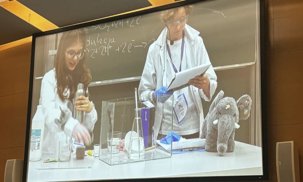 POWIAT BRZESKI. Żywioły w ruchu, nauka w ogniu czyli projekt Powiatowego Centrum Edukacji z Brzeska