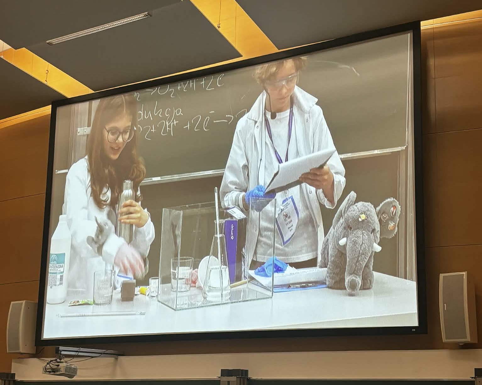 POWIAT BRZESKI. Żywioły w ruchu, nauka w ogniu czyli projekt Powiatowego Centrum Edukacji z Brzeska