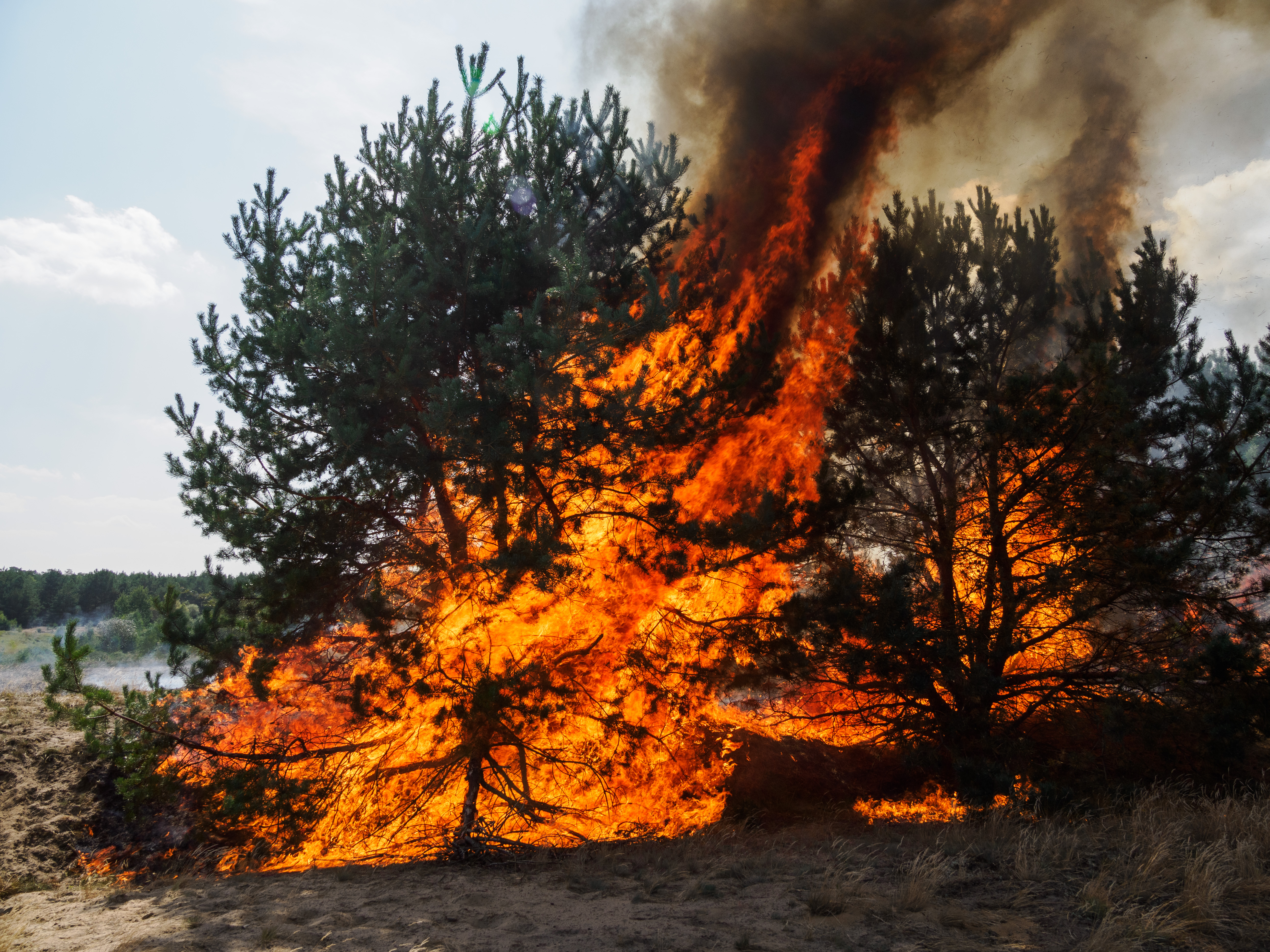 Regionalna Dyrekcja Lasów Państwowych w Krakowie apeluje do turystów o zachowanie szczególnych zasad bezpieczeństwa podczas nadchodzącej majówki
