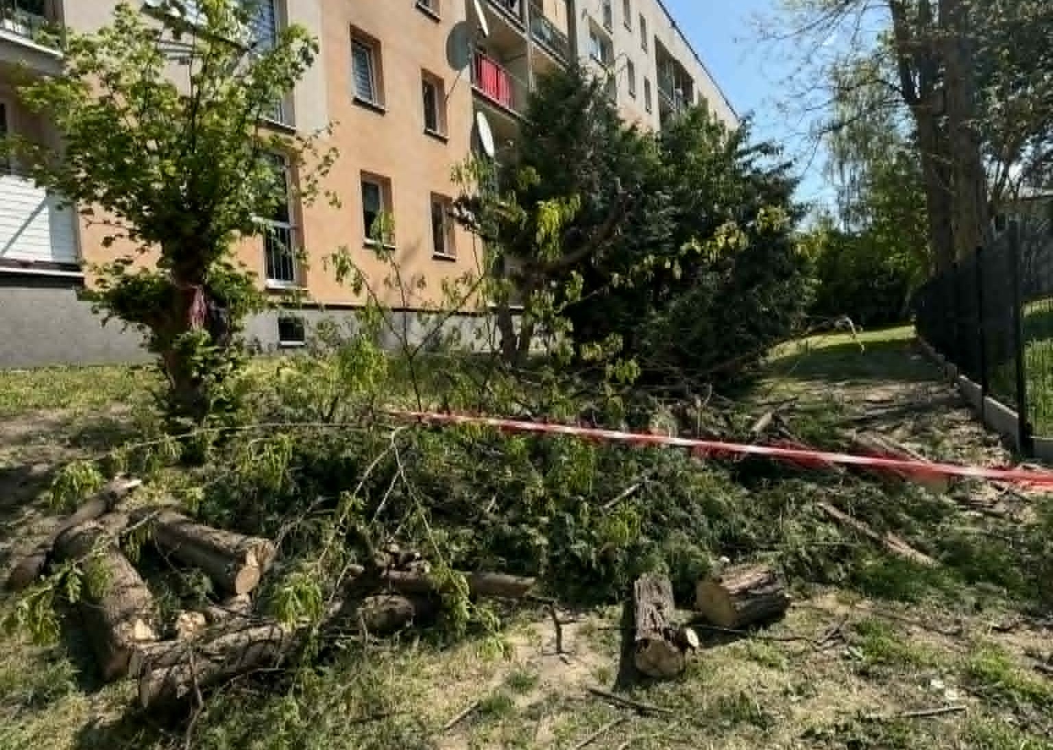 BOCHNIA. Grupa mieszkańców os. św Jana zaniepokojona wycinką drzew