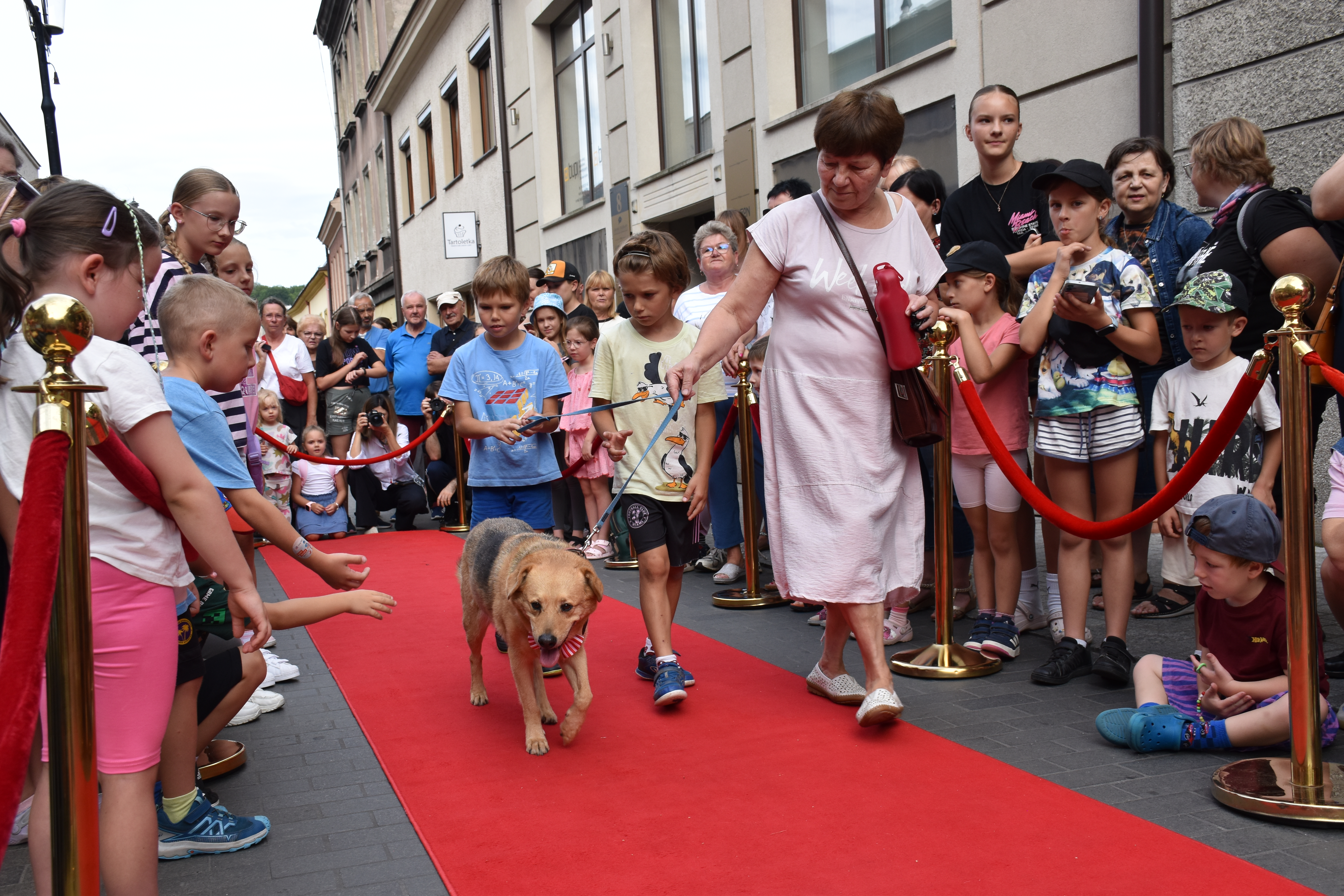 BOCHNIA. Święto ulicy Wolnica: parada kundelków i pokaz mody [ZDJĘCIA]