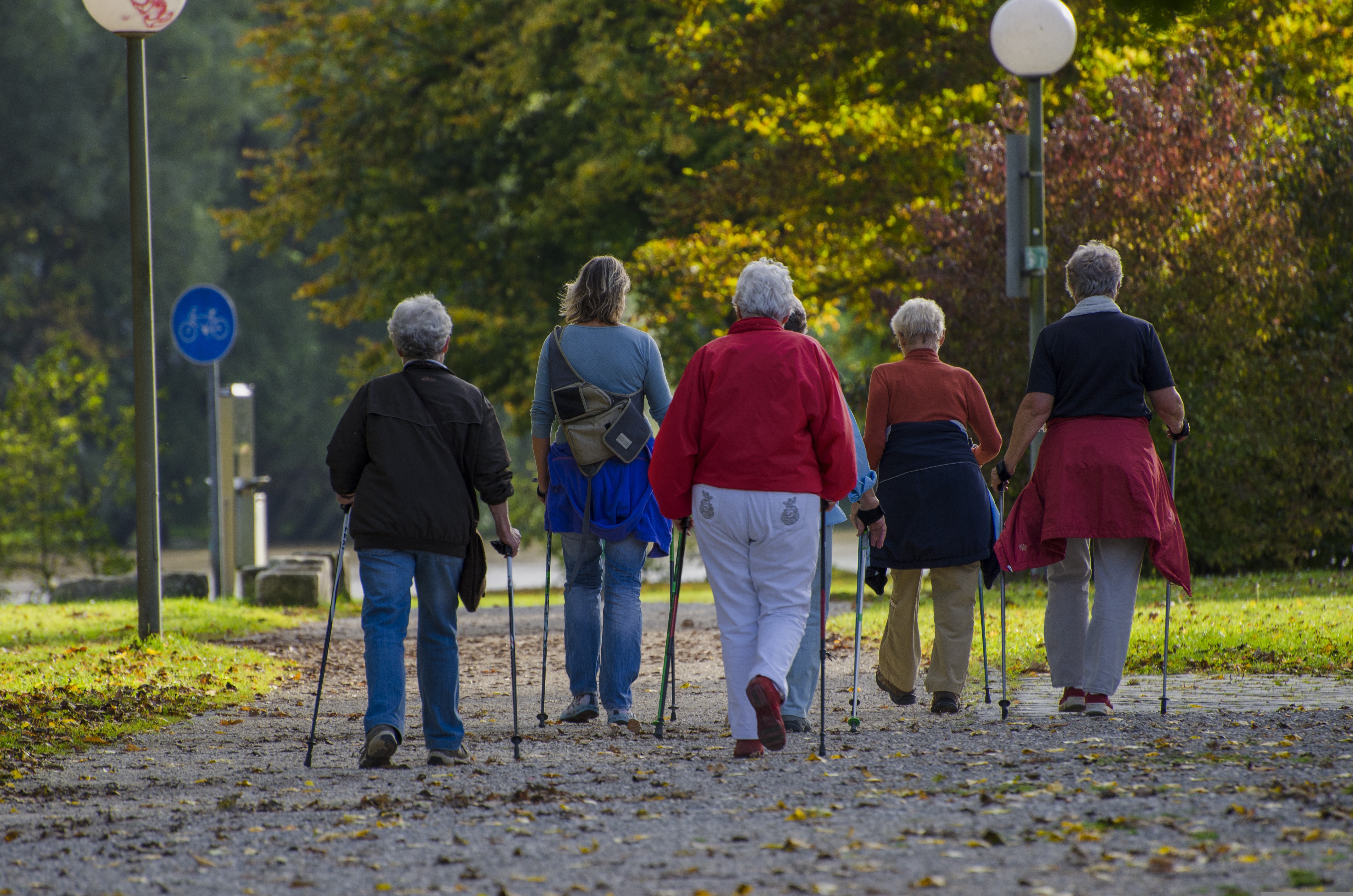 BOCHNIA. Bezpłatne zajęcia Nordic Walking. Nauka i doskonalenie techniki