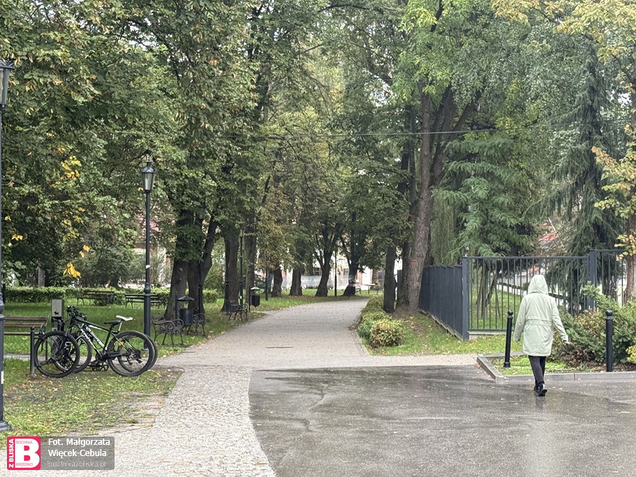 BOCHNIA. Stanisław Kobiela, wieloletni prezes Stowarzyszenia Bochniaków ma swoją aleję na Plantach Salinarnych